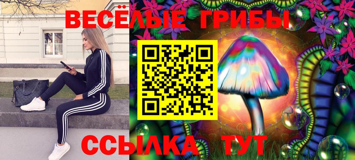 Галлюциногенные грибы Cubensis Когалым