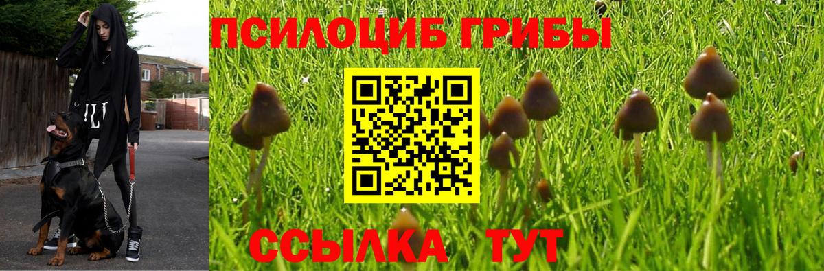 Псилоцибиновые грибы MAGIC MUSHROOMS  Вход с VPN  Когалым 